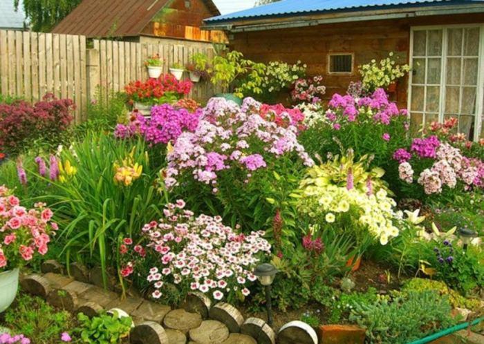 Цветни лехи със собствените си ръце: избор на растения, цветя и декорация на цветни лехи