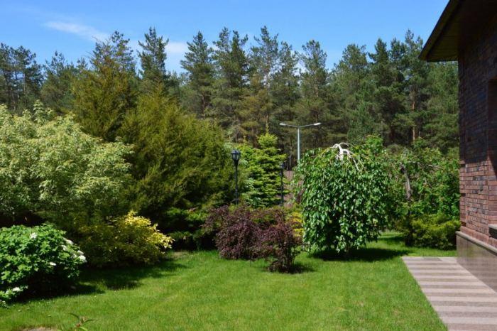 Озеленяване на двора-модерен ландшафтен дизайн и озеленяване на частна къща