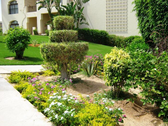 Topiary в градината със собствените си ръце: прости идеи за организиране и използване