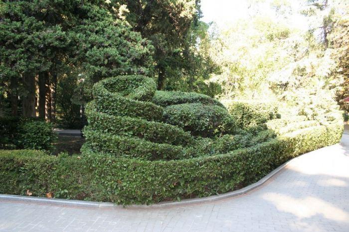 Topiary в градината със собствените си ръце: прости идеи за организиране и използване